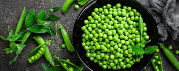 豌豆什么时间种植