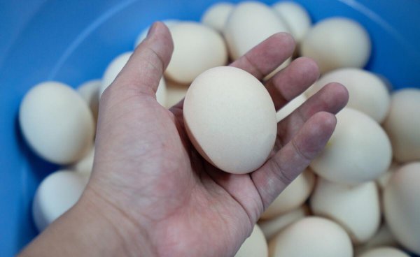 坏鸡蛋怎么辨别