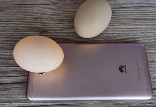 坏鸡蛋怎么辨别