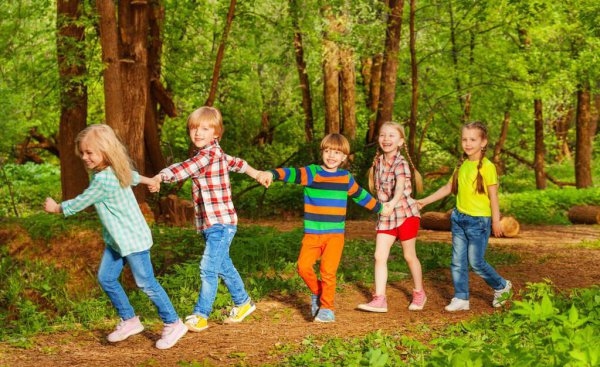 体智能课锻炼孩子什么能力