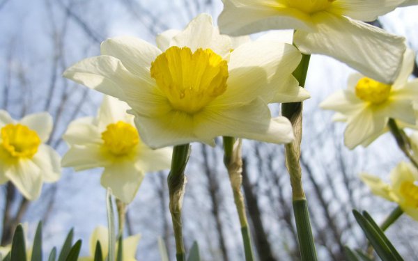 最容易被天秤看上的星座