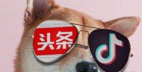 抖音粉丝是怎么来的