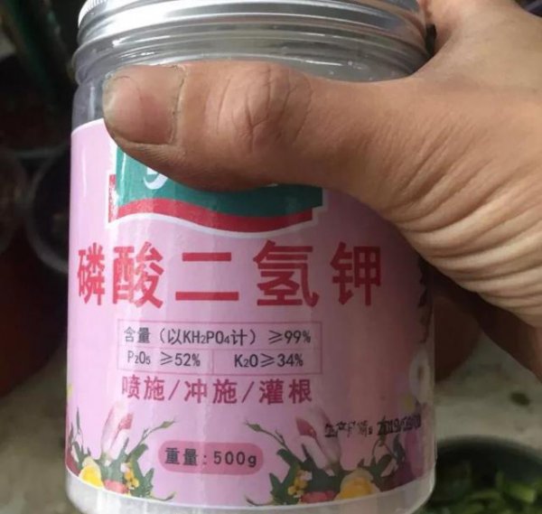 磷酸二氢钾能让叶子变绿吗