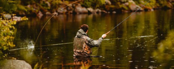 怎样判断黑坑钓鱼时间点