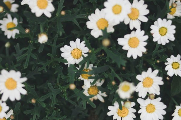 狮子座男最反感女生什么细节