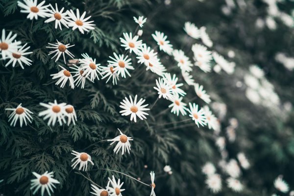 狮子座男最反感女生什么细节
