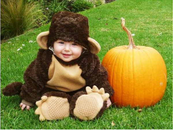 智商等级划分表