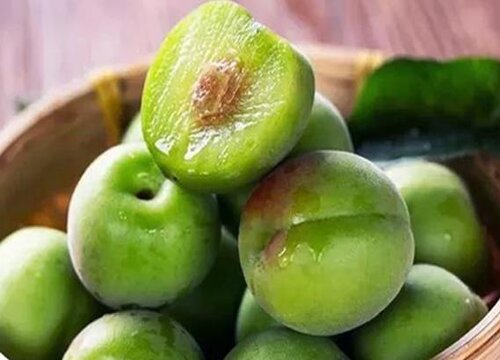 新鲜青梅什么时候上市