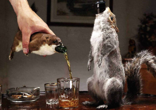 酒精度最高的啤酒排名