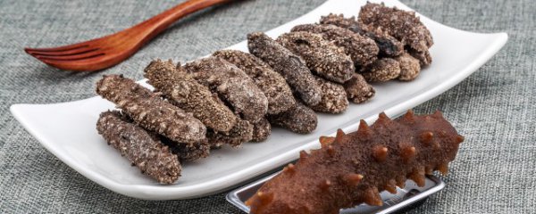 冬天吃海参有什么好处