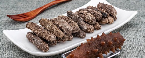 怎样分辨海参好坏