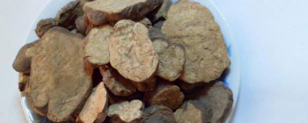 何首乌可以直接吃吗