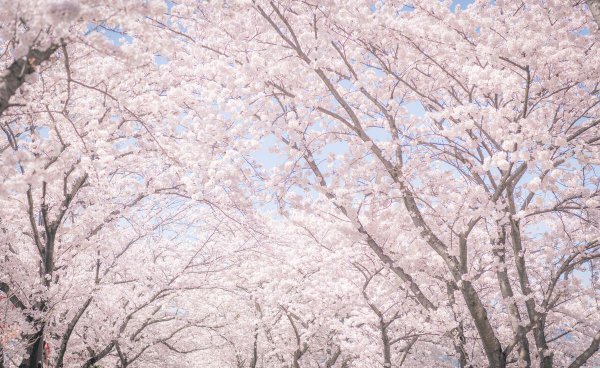 法国著名景点有哪些地方