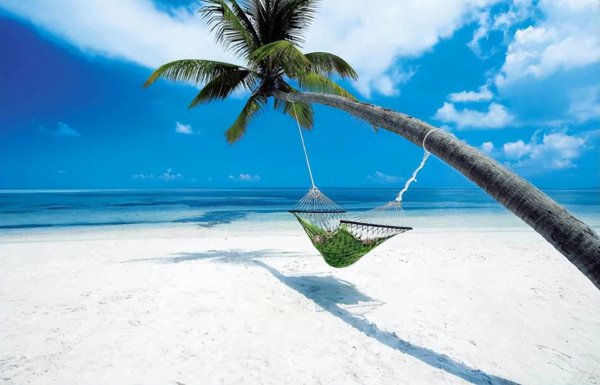 书荒求快穿类的高质量小说