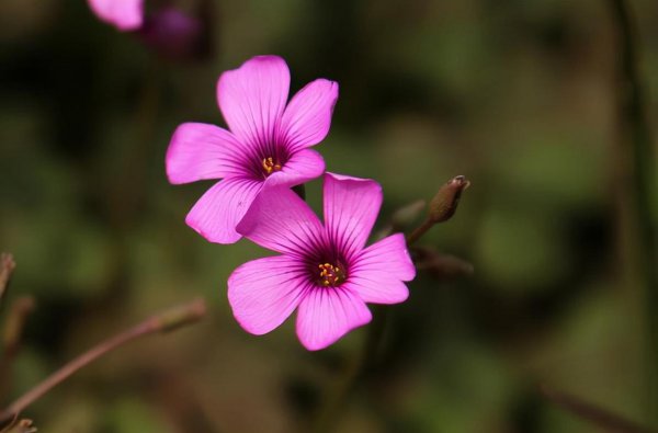 饭局上高情商的人的表现