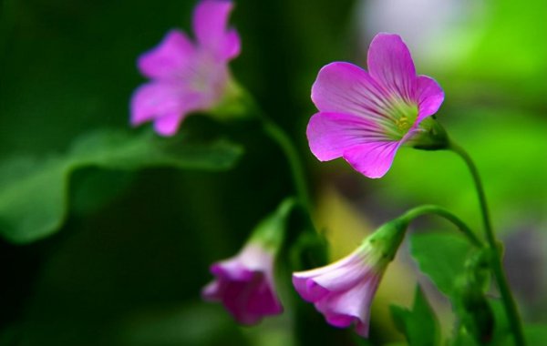 饭局上高情商的人的表现