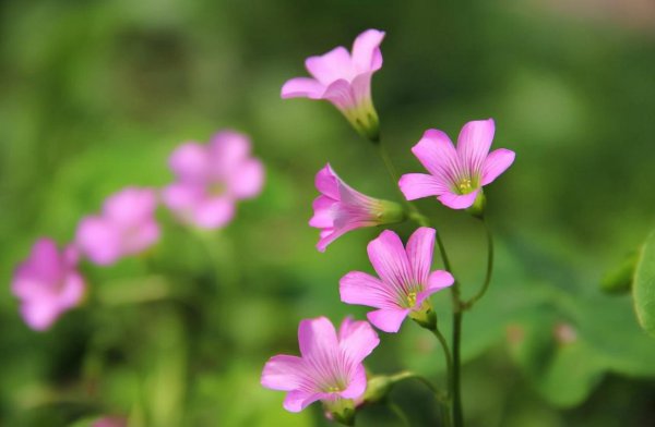 饭局上高情商的人的表现