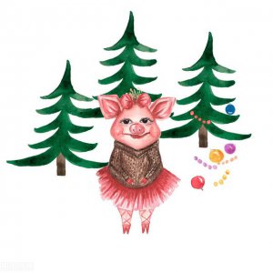 属猪的致命弱点在哪里 生肖猪的人的优点和弱点分析