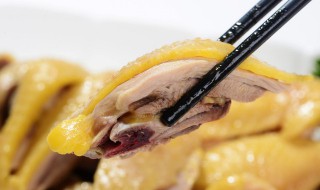 担担鸡是什么地方的菜 担担鸡是哪里的特色菜