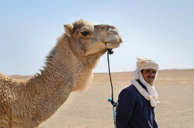 摩洛哥是黑人还是白人 为什么摩洛哥不是黑人国家