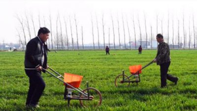 小麦播种机能播化肥吗 小麦底肥是撒施好还是机器播种好