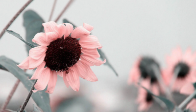 非常有头脑的星座女排名 一看就特别聪明的星座女