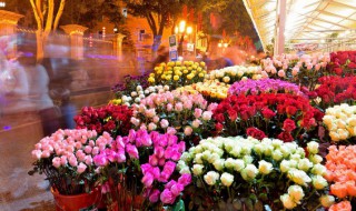 15朵玫瑰花语 15朵红玫瑰花语