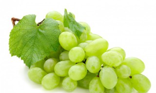 新鲜葡萄储存保鲜方法 新鲜葡萄怎么保存