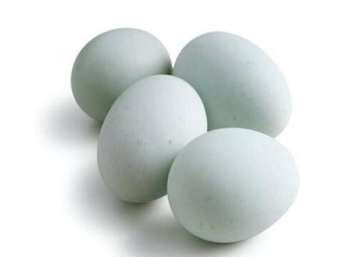 鸭蛋做肥料 鸭蛋可以做肥料吗