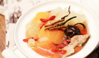 虫草和什么煲汤比较好 虫草和啥煲汤比较好