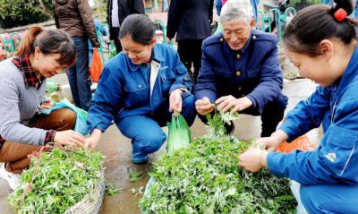 艾草能不能直接晒干 农村储存艾蒿晒干和阴干有什么利弊