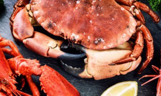 海蟹暂时不吃怎么保存 海蟹要如何保存