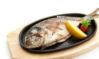 炖燕鱼的家常做法 炖燕鱼怎么做