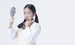 屎壳郎吃什么食物 屎壳郎吃哪些食物