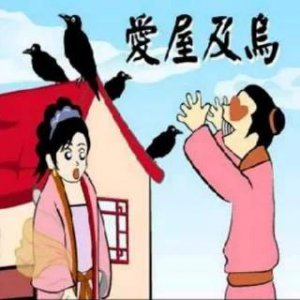 爱屋及乌是什么意思及道理 爱屋及乌典故出自于哪里