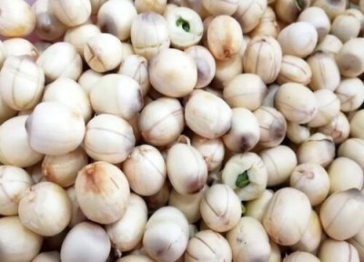 莲子成熟时间 莲子什么时候成熟