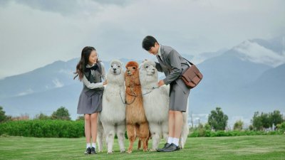 旅行结婚需要注意什么 超实用的新人旅行结婚攻略