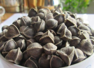 辣木籽特点 辣木籽的功效与作用