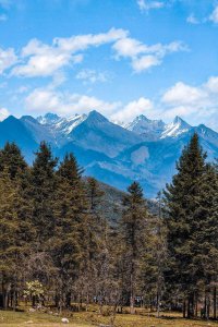 神木垒海拔最高多少米 四川宝兴北部神木垒海拔3000米