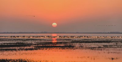 我国第一大淡水湖是什么 中国第一大淡水湖鄱阳湖资料介绍