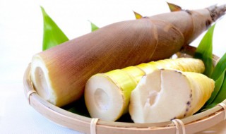 新鲜竹笋储存的方法 新鲜竹笋怎么保存