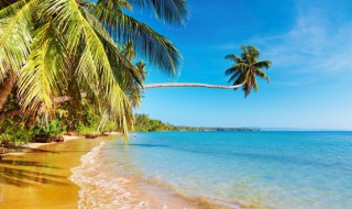 三亚游玩景点有哪些 三亚旅游必去的几个景点