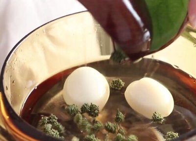 三七花的功效与作用 三七花的功效与作用及食用方法