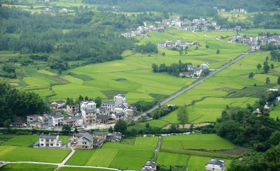 江西农田补贴是多少钱一亩 耕地补贴标准112元每亩吗