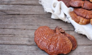 如何保存干灵芝 干灵芝怎样保存效果最好