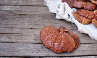 人工灵芝的种植方法 如何种植灵芝