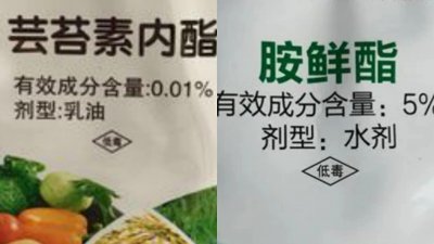 芸苔素内酯和复硝酚钠哪个好 两者有什么区别