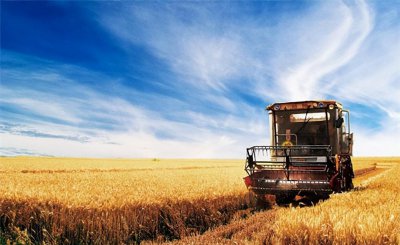 种粮补贴一亩地多少钱 种粮补贴什么时候开始发放