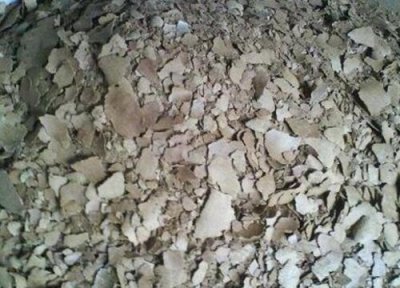 菜籽饼可以直接埋地里施肥吗 菜籽饼需要发酵多久做肥料