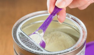 枣和奶粉可以同时吃吗 枣和奶粉能不能同食呢